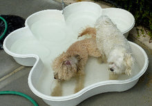 2 Bone Pools 2 Paw Pools Package